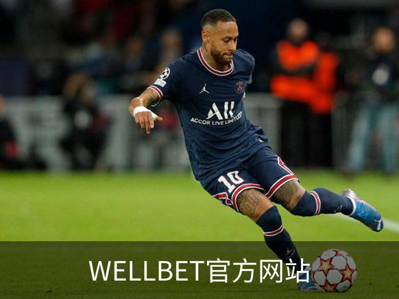 WELLBET官方网站概况